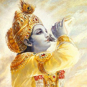 Gita Daily